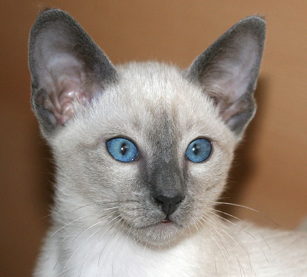 Photo: Carolin Skirl