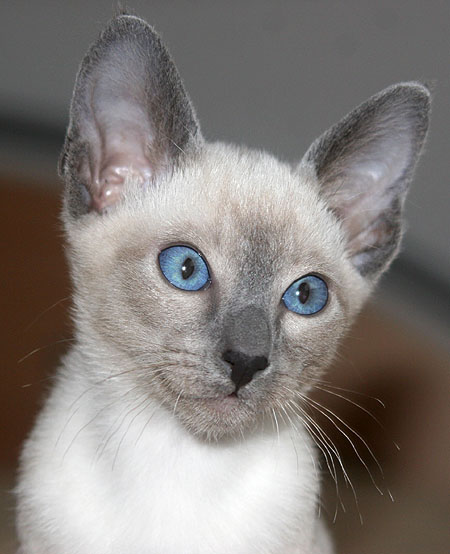 Photo: Carolin Skirl