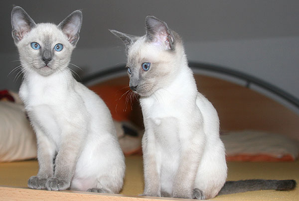 Photo: Carolin Skirl