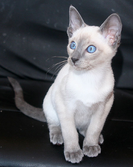 Photo: Carolin Skirl