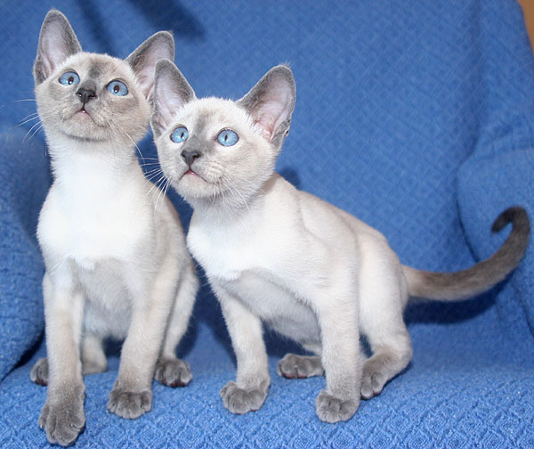 Photo: Carolin Skirl