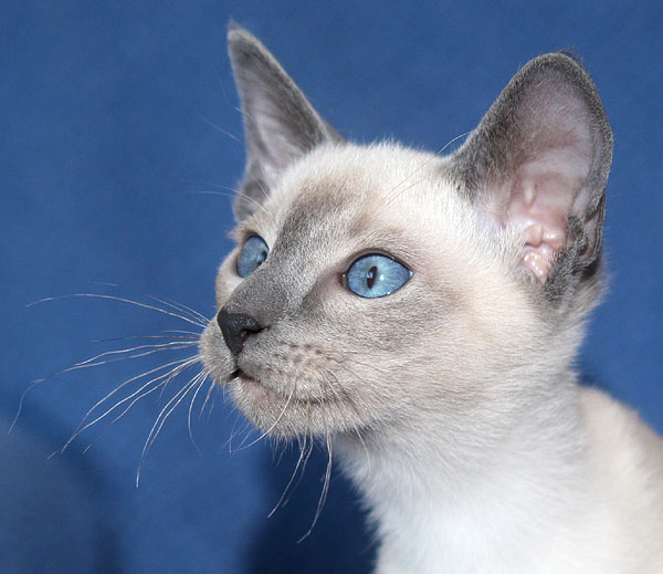 Photo: Carolin Skirl