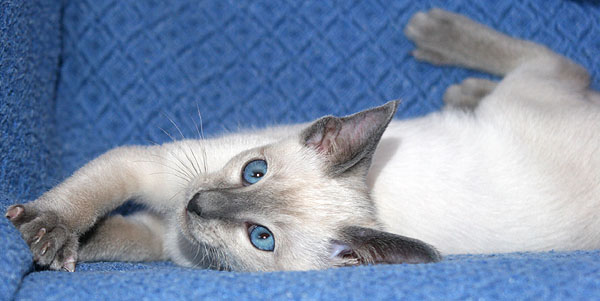 Photo: Carolin Skirl