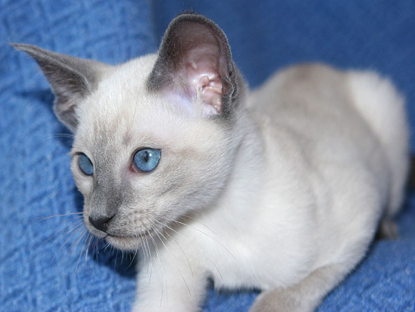 Photo: Carolin Skirl