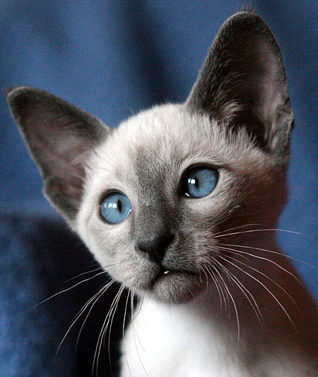 Photo: Carolin Skirl