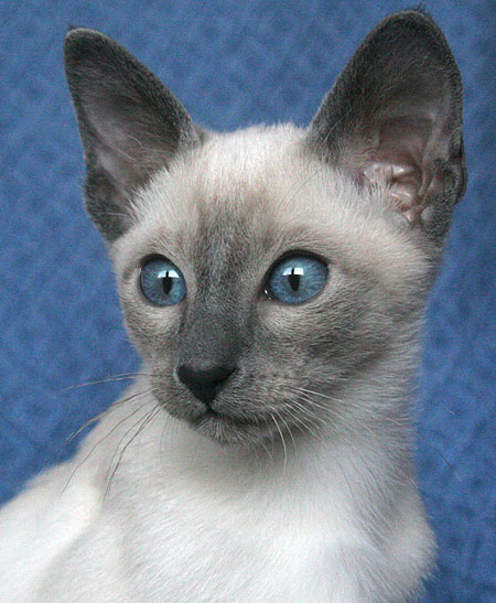 Photo: Carolin Skirl