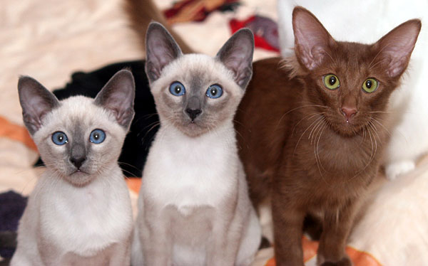 Photo: Carolin Skirl