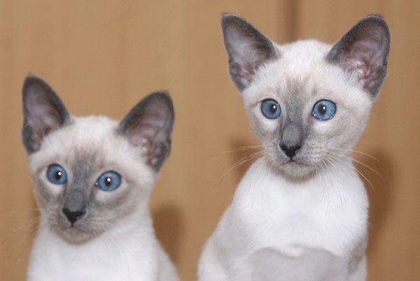 Photo: Carolin Skirl