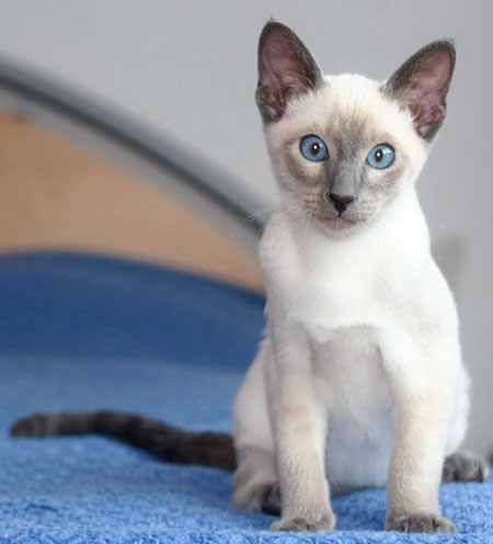 Photo: Carolin Skirl