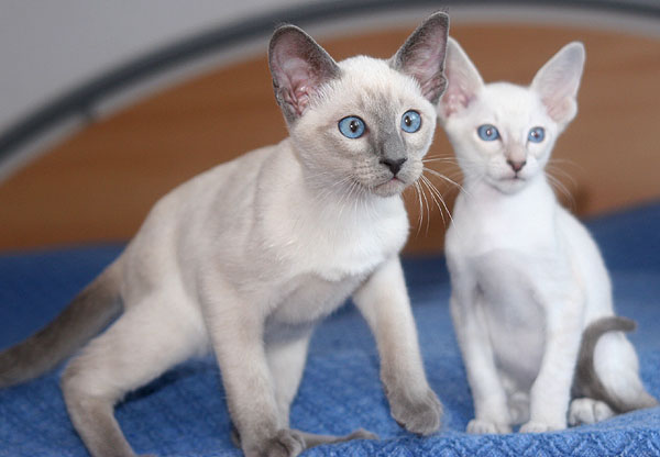 Photo: Carolin Skirl