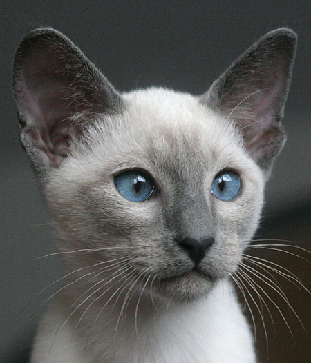 Photo: Carolin Skirl