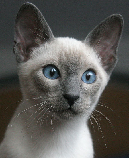 Photo: Carolin Skirl