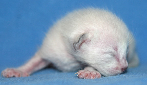 Photo: Carolin Skirl