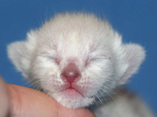 Photo: Carolin Skirl