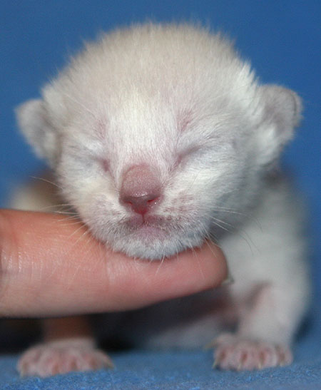 Photo: Carolin Skirl