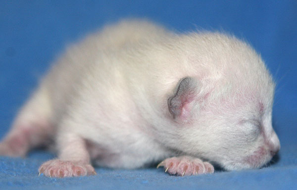 Photo: Carolin Skirl