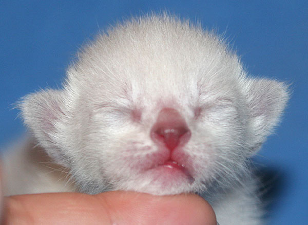 Photo: Carolin Skirl