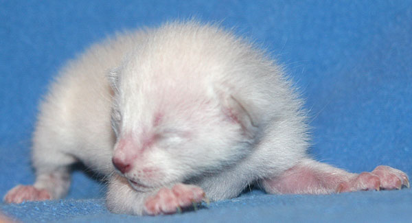 Photo: Carolin Skirl