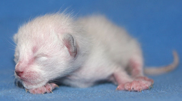 Photo: Carolin Skirl