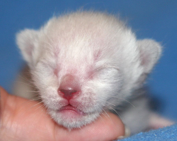 Photo: Carolin Skirl