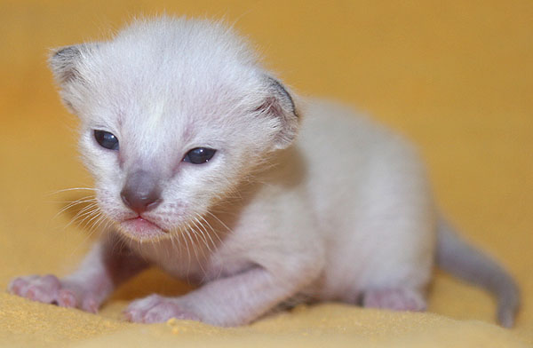 Photo: Carolin Skirl