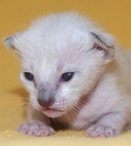 Photo: Carolin Skirl