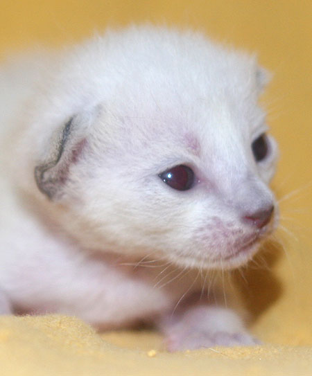 Photo: Carolin Skirl