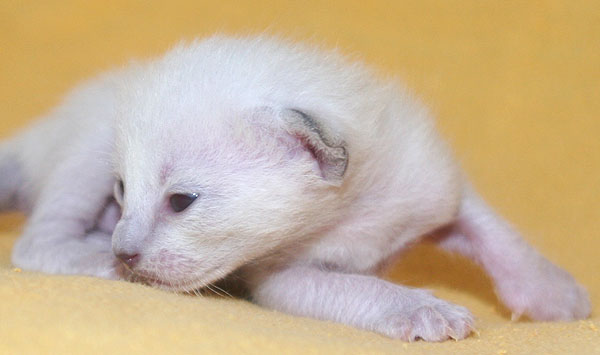 Photo: Carolin Skirl