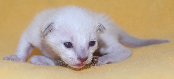 Photo: Carolin Skirl