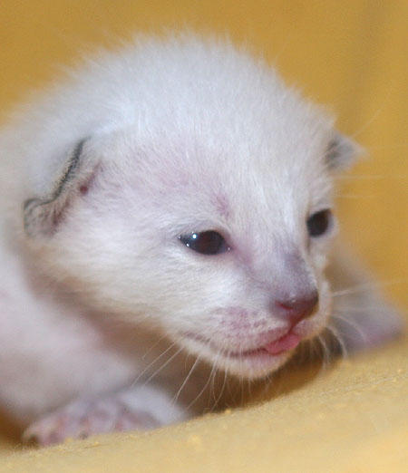 Photo: Carolin Skirl