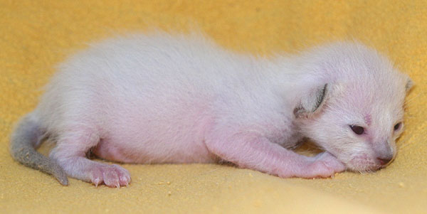 Photo: Carolin Skirl