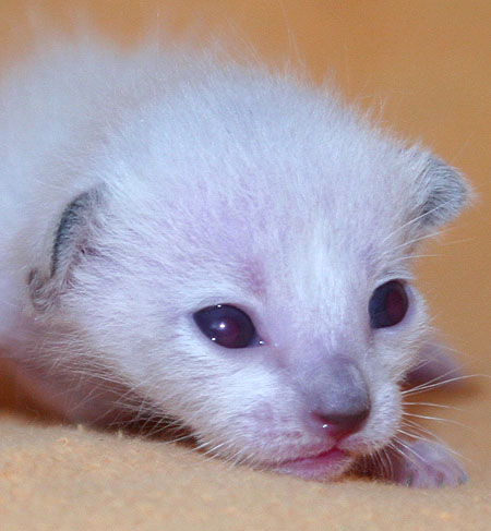 Photo: Carolin Skirl