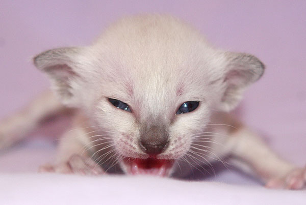 Photo: Carolin Skirl