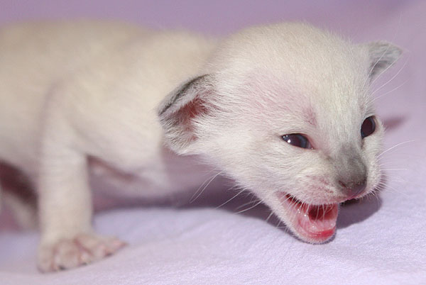 Photo: Carolin Skirl