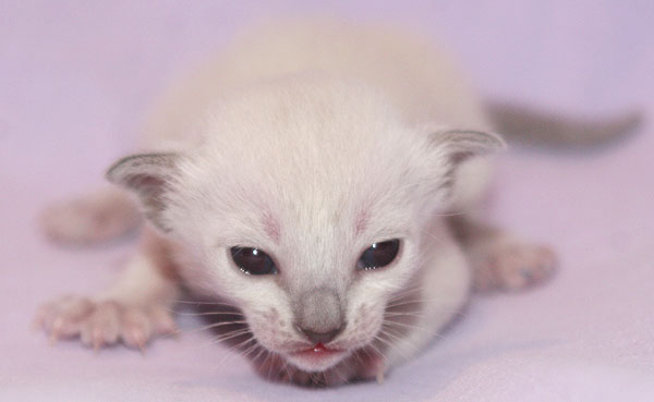 Photo: Carolin Skirl