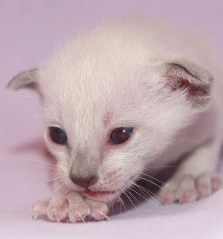 Photo: Carolin Skirl