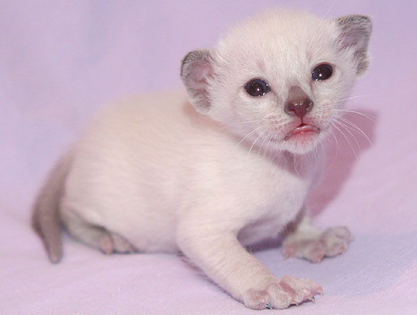 Photo: Carolin Skirl