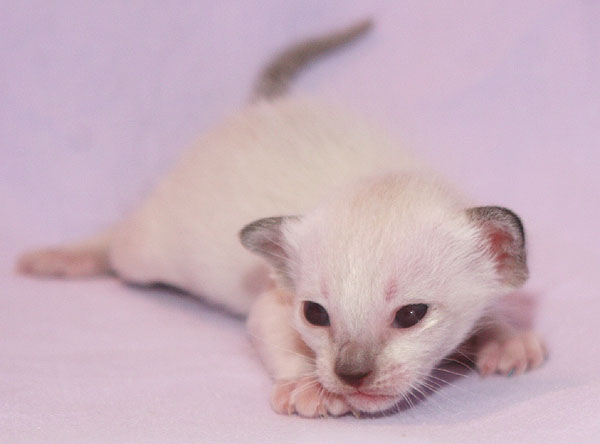 Photo: Carolin Skirl