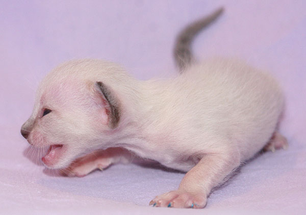 Photo: Carolin Skirl