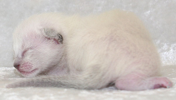 Photo: Carolin Skirl