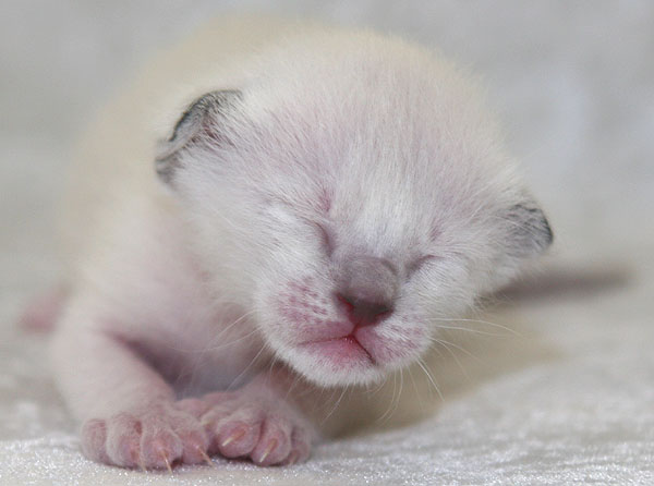 Photo: Carolin Skirl