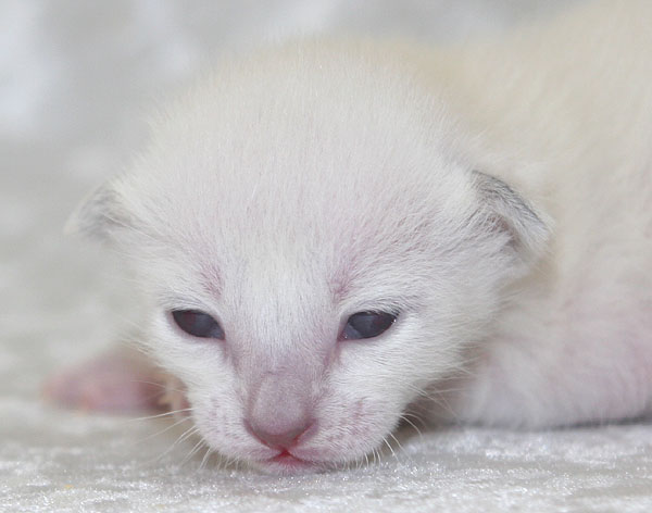 Photo: Carolin Skirl