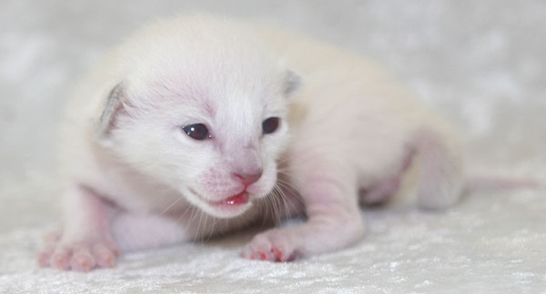 Photo: Carolin Skirl