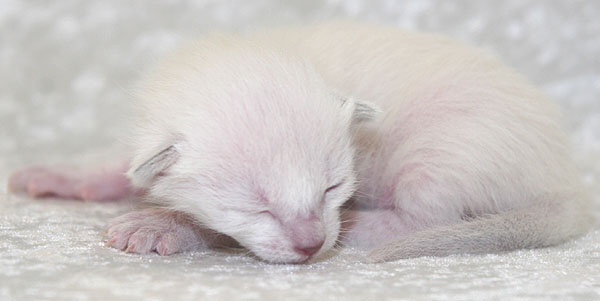 Photo: Carolin Skirl