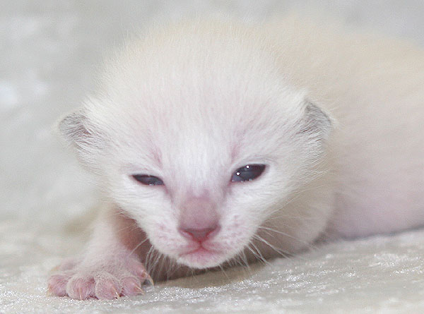 Photo: Carolin Skirl