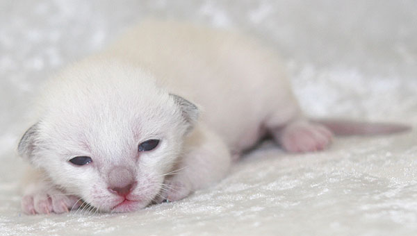 Photo: Carolin Skirl