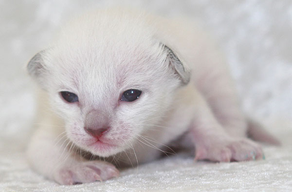 Photo: Carolin Skirl