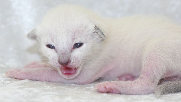 Photo: Carolin Skirl