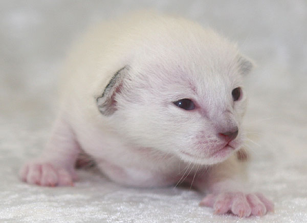 Photo: Carolin Skirl