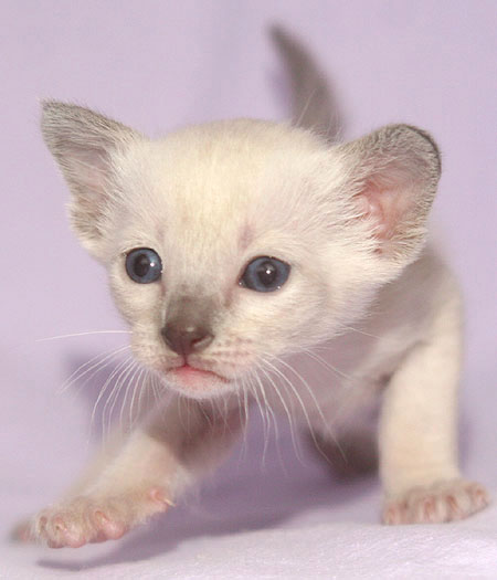 Photo: Carolin Skirl